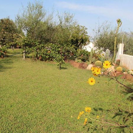 Villa Di Campagna Vicino Al Mare オロゼーイ エクステリア 写真