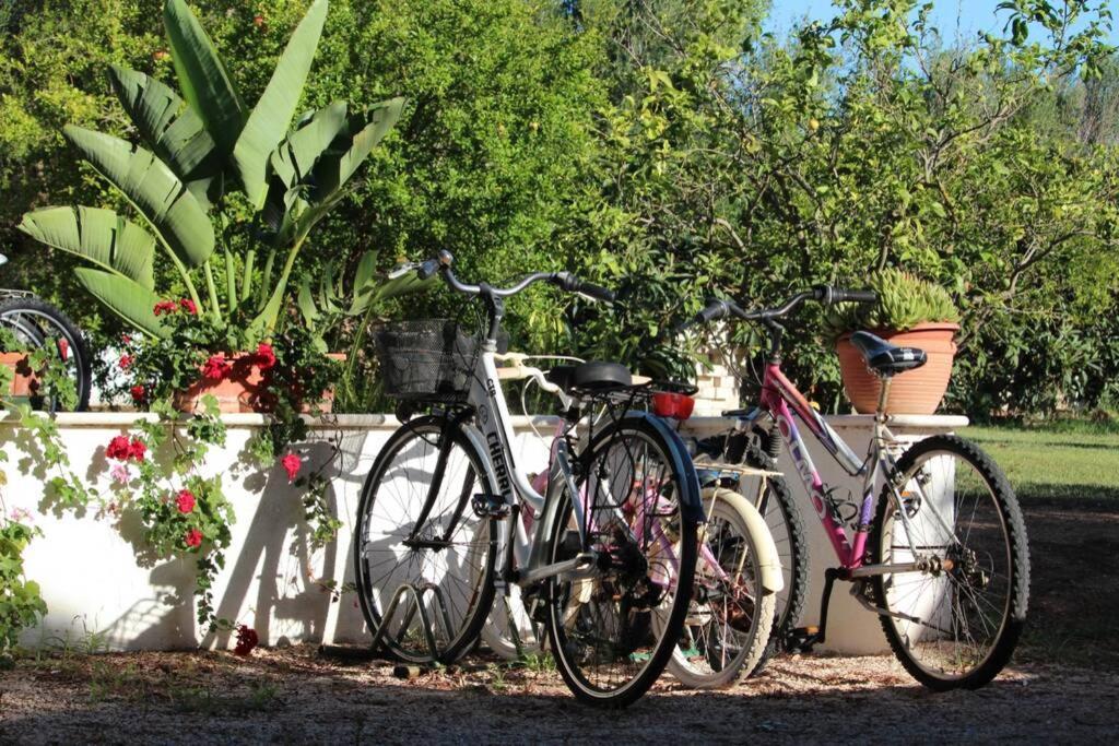 Villa Di Campagna Vicino Al Mare オロゼーイ エクステリア 写真