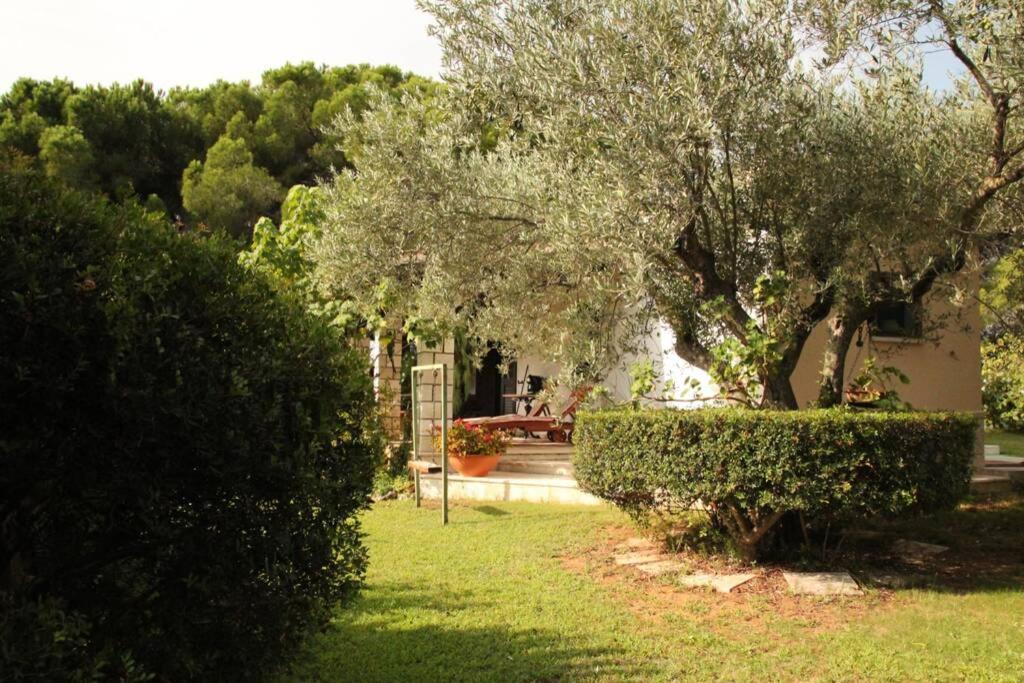 Villa Di Campagna Vicino Al Mare オロゼーイ エクステリア 写真